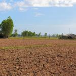 Required plot in madinaguda or jntu